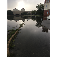 August 2019 king tide Norfolk image